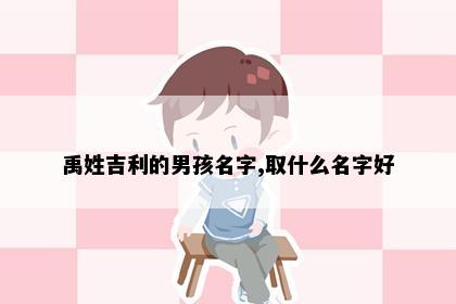 禹姓吉利的男孩名字,取什么名字好