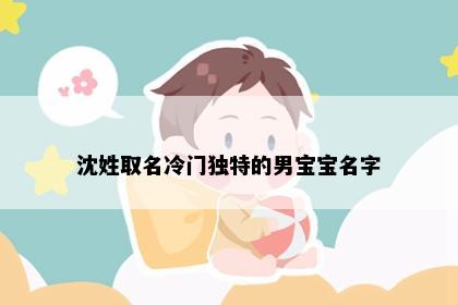 沈姓取名冷门独特的男宝宝名字