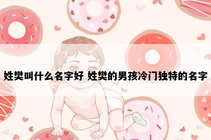 姓樊叫什么名字好 姓樊的男孩冷门独特的名字