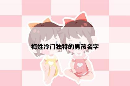 梅姓冷门独特的男孩名字