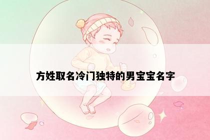 方姓取名冷门独特的男宝宝名字
