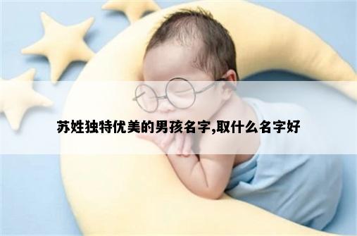 苏姓独特优美的男孩名字,取什么名字好