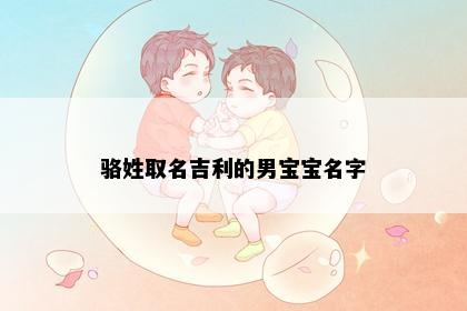 骆姓取名吉利的男宝宝名字